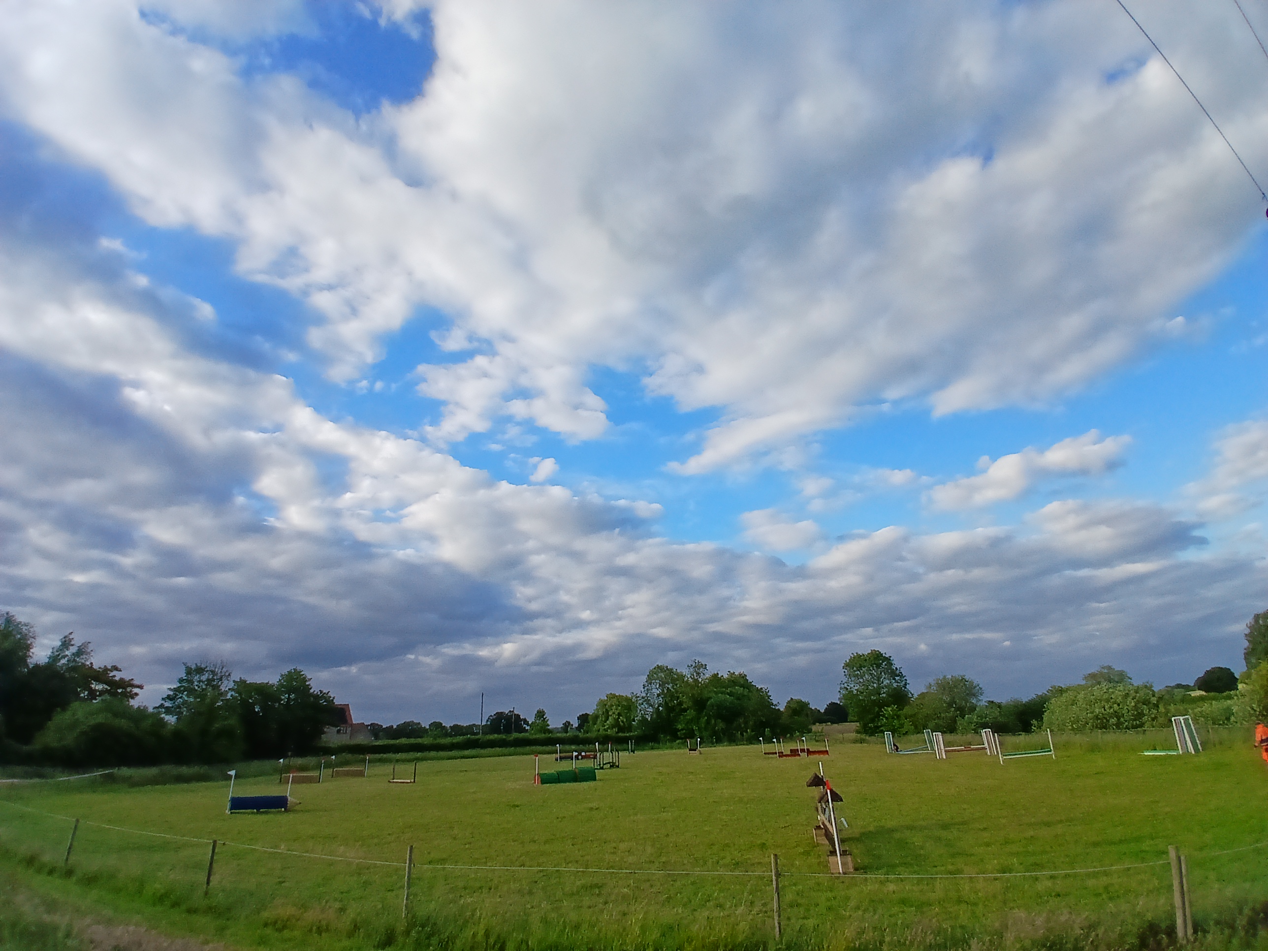 Grass Arena